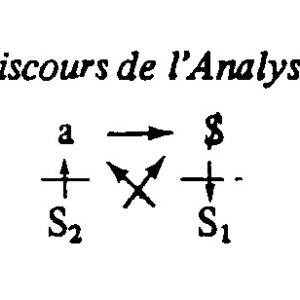 Principes de la pratique psychanalytique